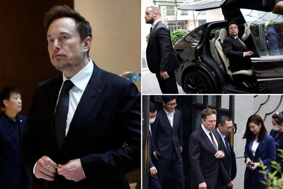 Elon Musk treated like rock star in China: 'He's a global idol'