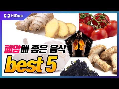 폐암에 좋은 음식 BEST5 [건강정보]