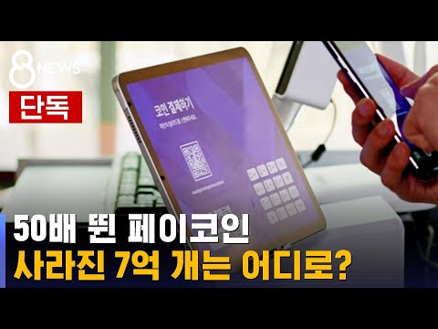 [단독] 50배 뛴 페이코인, 사라진 7억 개는 어디로? / SBS 8뉴스