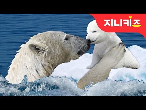 북극곰의 눈물 #1 | 북극의 얼음이 녹고 있어요 | 지구온난화 예방 실천방법 | 환경 동화★지니키즈